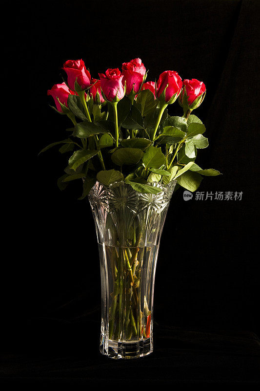 一打红/粉玫瑰装在水晶花瓶里
